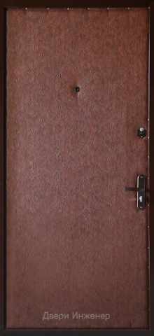 Дверь с ковкой DR256