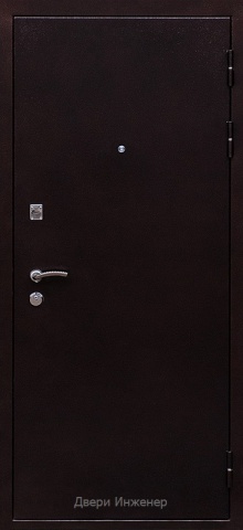 Порошковая дверь DR213